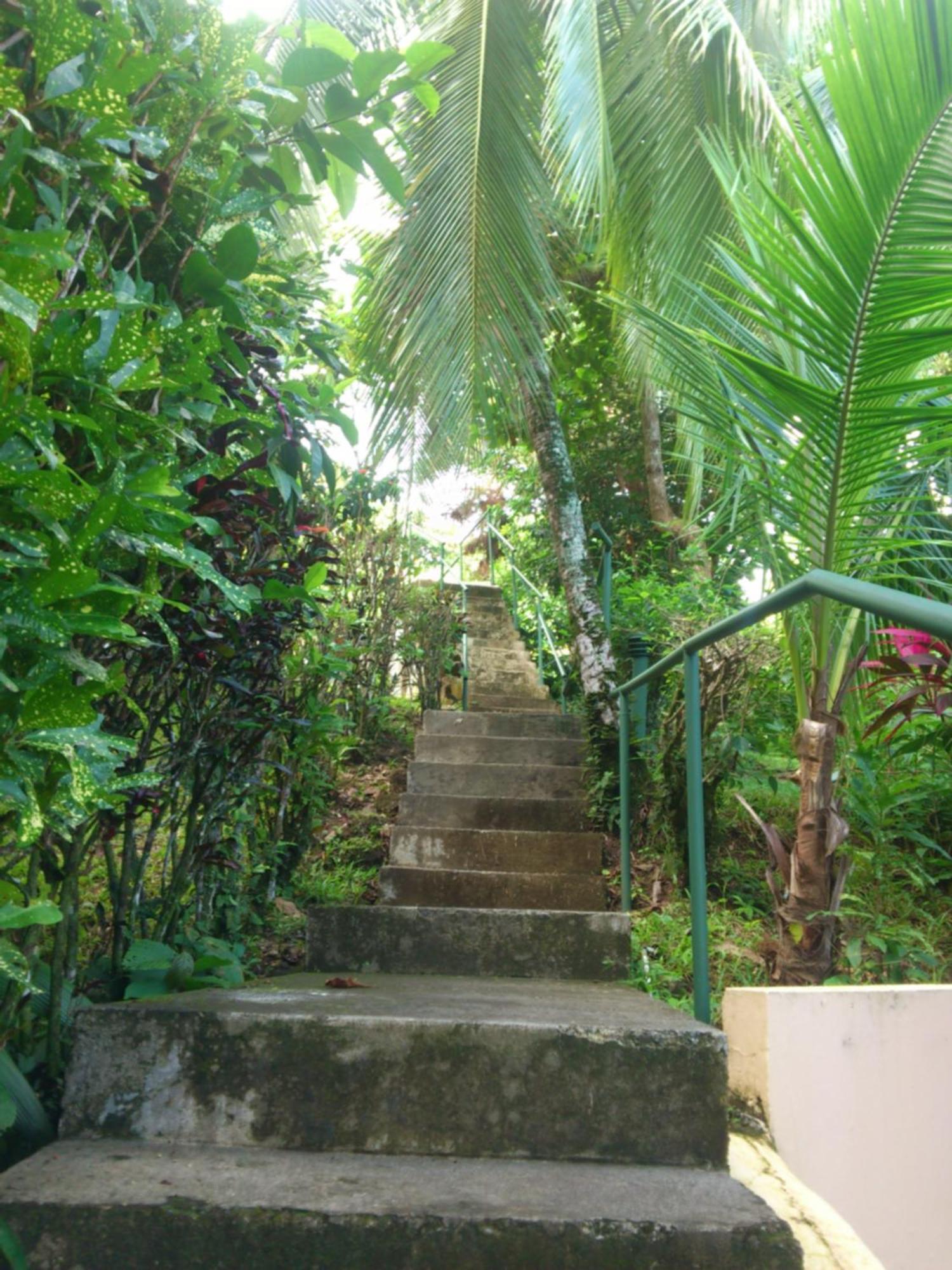 Karahe Beach Hotel Manuel Antonio Værelse billede