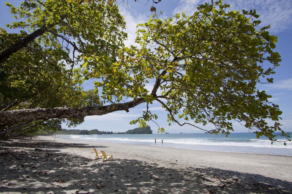 Karahe Beach Hotel Manuel Antonio Eksteriør billede