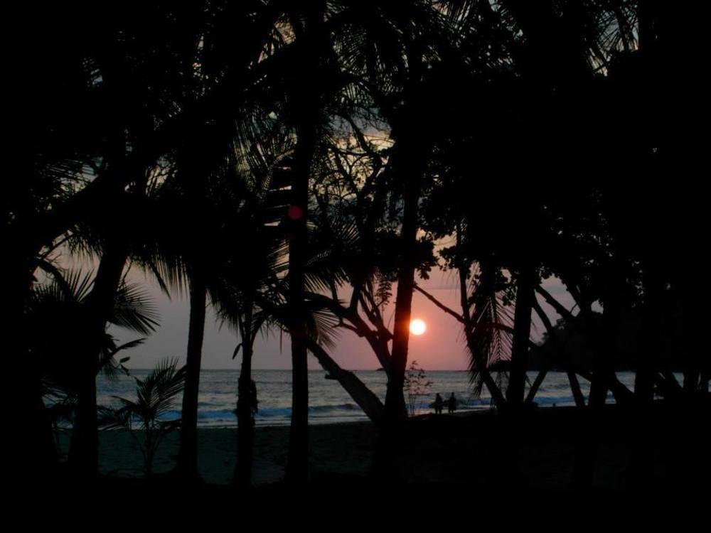 Karahe Beach Hotel Manuel Antonio Eksteriør billede