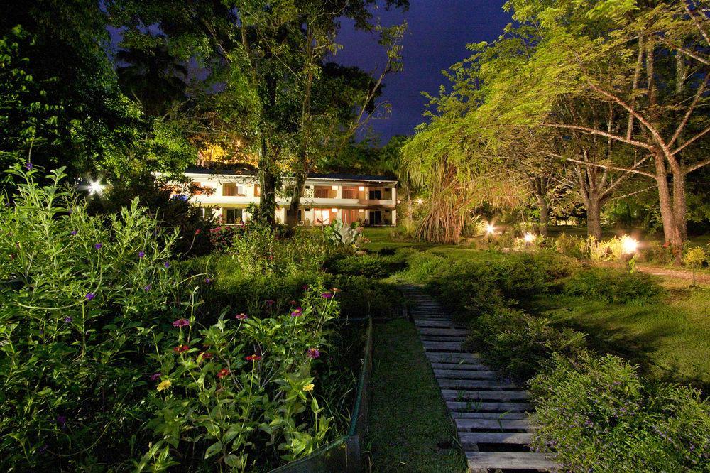 Karahe Beach Hotel Manuel Antonio Eksteriør billede