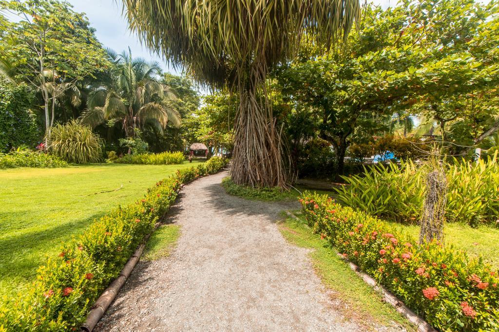 Karahe Beach Hotel Manuel Antonio Eksteriør billede