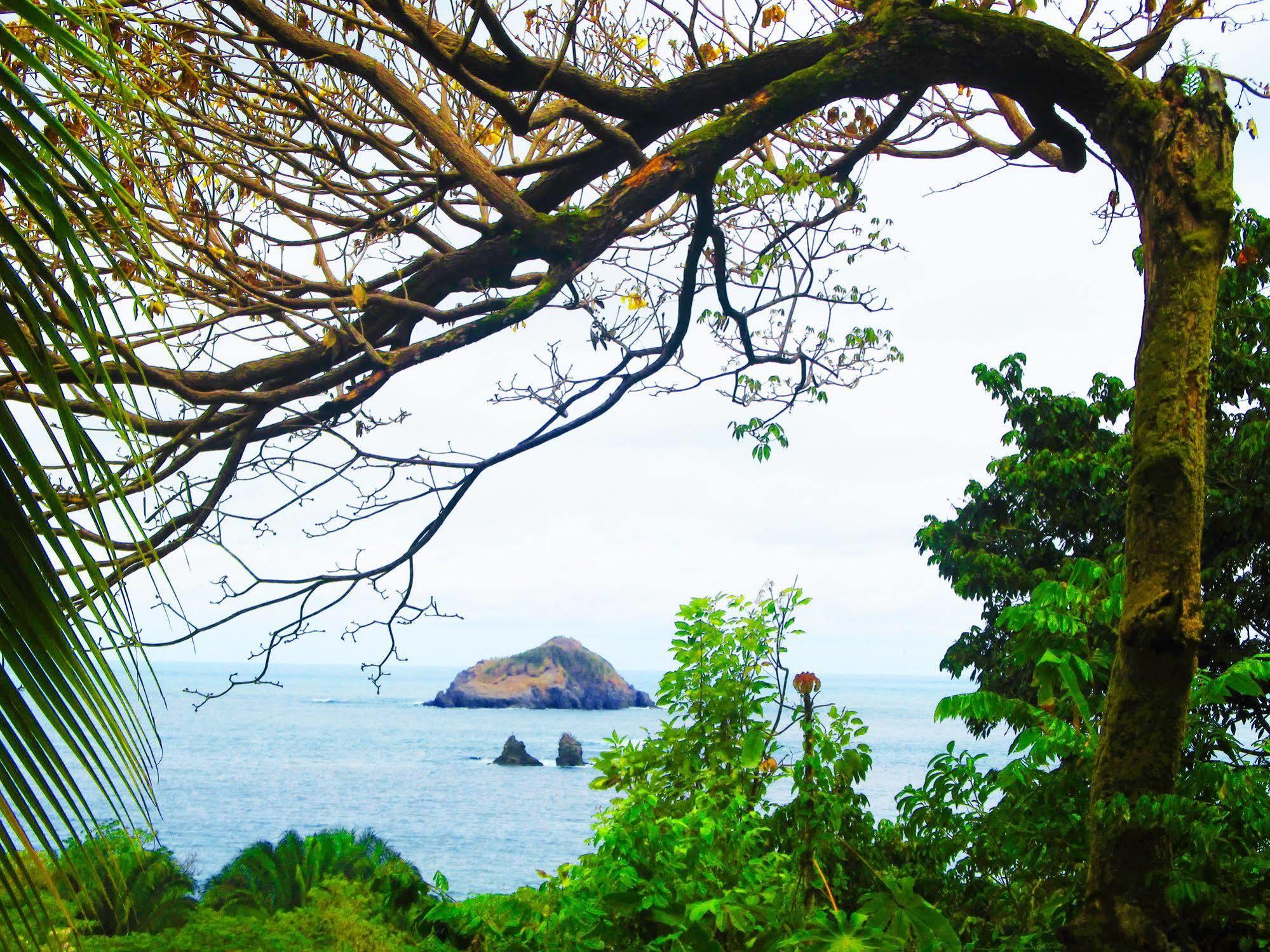 Karahe Beach Hotel Manuel Antonio Eksteriør billede